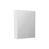 Fienza B600 Bevel Edge 600 Mirror Cabinet - Mirrors & Cabinets