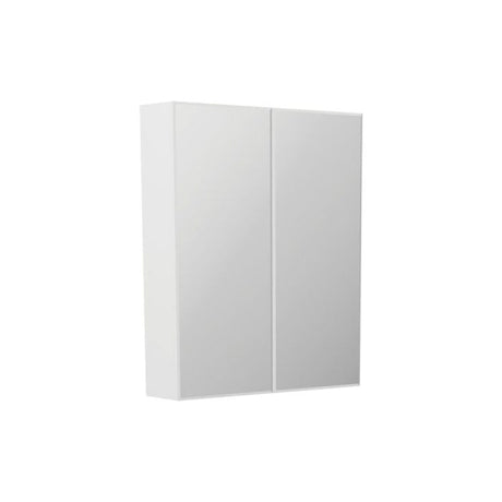 Fienza B600 Bevel Edge 600 Mirror Cabinet - Mirrors & Cabinets