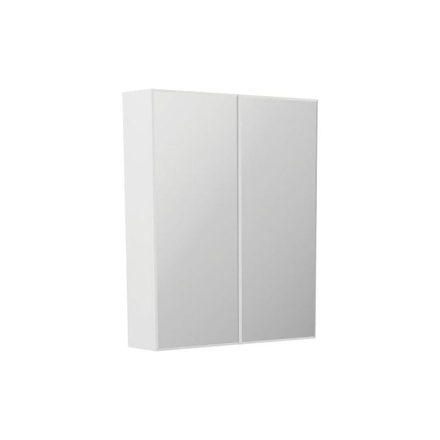 Fienza B600 Bevel Edge 600 Mirror Cabinet - Mirrors & Cabinets
