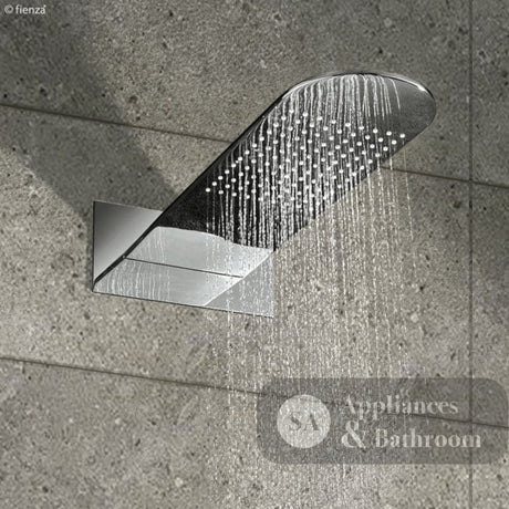 Fienza Empire Shower Head Polished S/S - SHOWER HEADS
