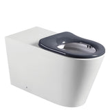 Fienza Isabella Care Back-to-Wall Toilet Suite - Grey Seat - Wall Faced Suite