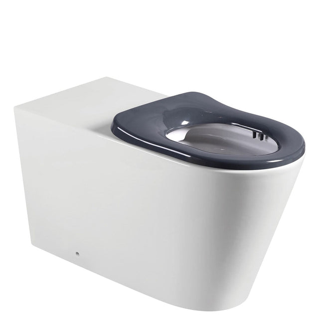 Fienza Isabella Care Back-to-Wall Toilet Suite - Grey Seat - Wall Faced Suite