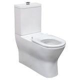 Fienza K013WP Delta Care Back to Wall Toilet Suite S Trap 90-280 White Seat Raised Buttons - Back-To-Wall Toilet