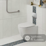 Fienza K025-PS-2 Alix Ambulant Wall-Faced Toilet Suite Slim Seat P-Trap - In Wall Toilets