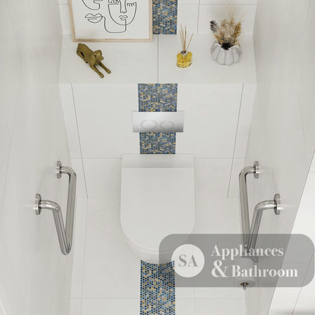Fienza K025A-PS-2 Alix Ambulant Wall-Faced Toilet Suite Slim Seat S-Trap - In Wall Toilets