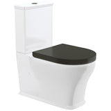 Fienza K031GBA Lillian Tornado Back To Wall Toilet Suite S Trap 90-160mm R&T Cistern Gloss White with Gloss Black Seat