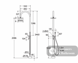 Fienza Kaya 455190 Floor Mounted Outdoor Twin Shower 316 Brushed Stainless Steel - Twin Showers