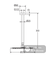 Fienza Kaya Shower Dropper Set - Chrome - Ceiling Shower