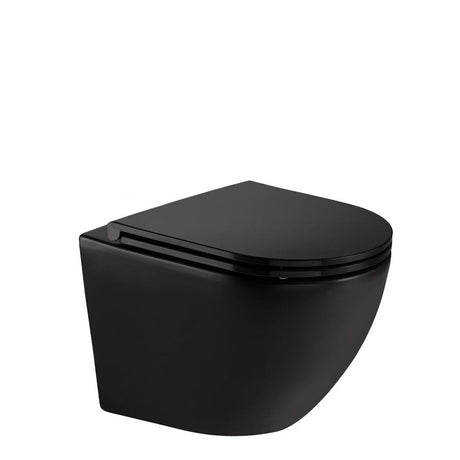 Fienza Koko Wall-Hung Suite - Matte Black - Wall Hung Suite