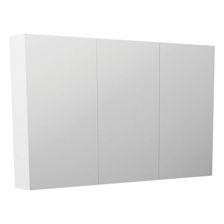 Fienza PSH1200 Pencil Edge 1200 Mirror Cabinet - Mirrors & Cabinets