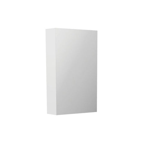 Fienza PSH450 Pencil Edge 450 Mirror Cabinet - Mirrors & Cabinets