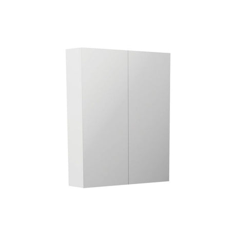 Fienza PSH600 Pencil Edge 600 Mirror Cabinet - Mirrors & Cabinets