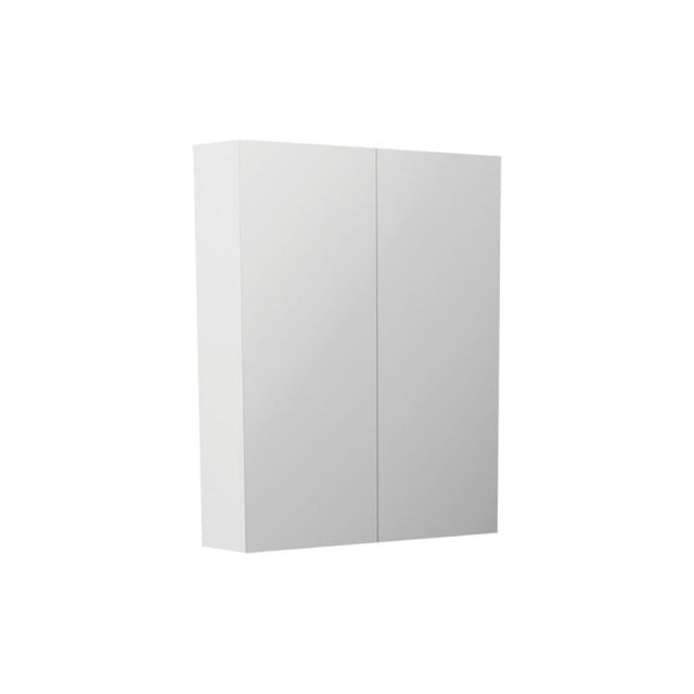 Fienza PSH600 Pencil Edge 600 Mirror Cabinet - Mirrors & Cabinets