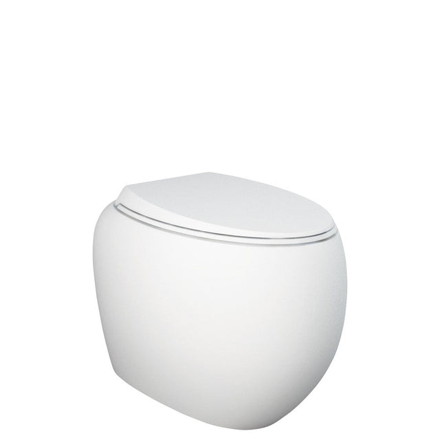 Fienza Rak Cloud Wall-Faced Suite - Matte White - R&T In-wall Cistern + Toilet Suite P Trap - Wall Faced Suite