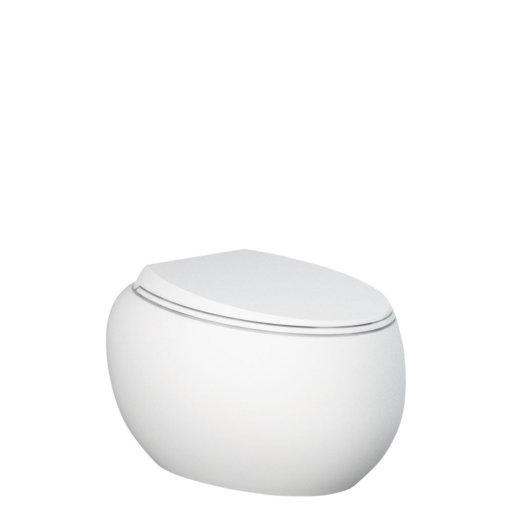 Fienza Rak Cloud Wall Hung Suite - Matte White - R&T In-wall Cistern + Toilet Suite - Wall Hung Suite