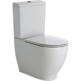 Fienza Rak Moon Back-to-Wall Suite - Back to Wall Suites