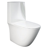 Fienza Rak Sensation Back-to-Wall Suite - Back to Wall Suites