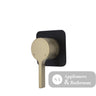 Fienza Sansa Soft Square Plate Wall Mixer - Urban Brass - Urban Brass / Matte Black Backplate - Wall Mixer