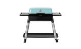 Everdure by Heston FURNACEM Blumenthal Furnace Gas BBQ Mint