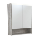 Fienza PSC750SX-LED 750mm Mirror LED Cabinet with Undershelf, Industrial - Special Order