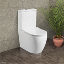 Fienza Hana Toilet BTW S Trap 160-230mm Gloss White K8381B