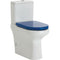 Fienza Rak Compact Back-to-Wall Suite - Blue Seat