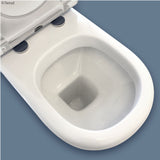 Fienza Rak Compact Back-to-Wall Suite - Grey Seat