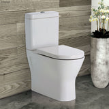 Fienza Rak Resort Back-to-Wall Suite Top Inlet