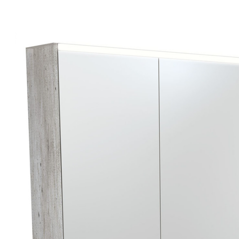 Fienza PSC750X-LED 750mm Mirror LED Cabinet, Industrial - Special Order