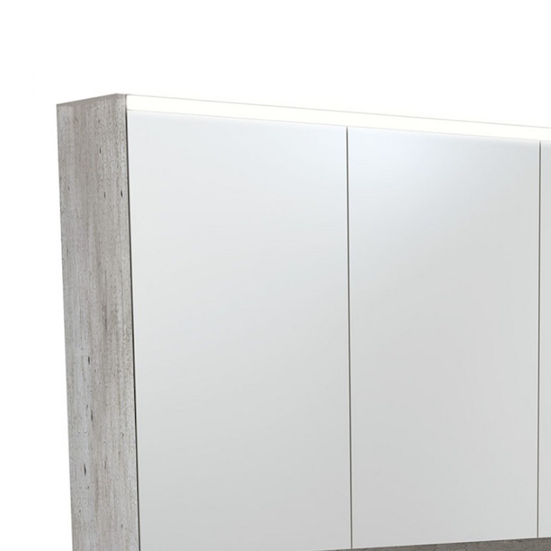Fienza PSC1200SX-LED Mirror LED Cabinet 1200mm with Undershelf, Industrial - Special Order