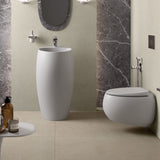 Fienza Rak Cloud Wall Hung Suite - Matte White