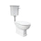 Fienza 870630WA Washington RAK Front Lever Adjustable Link S-Trap 270-320mm Toilet Suite, White - Special Order