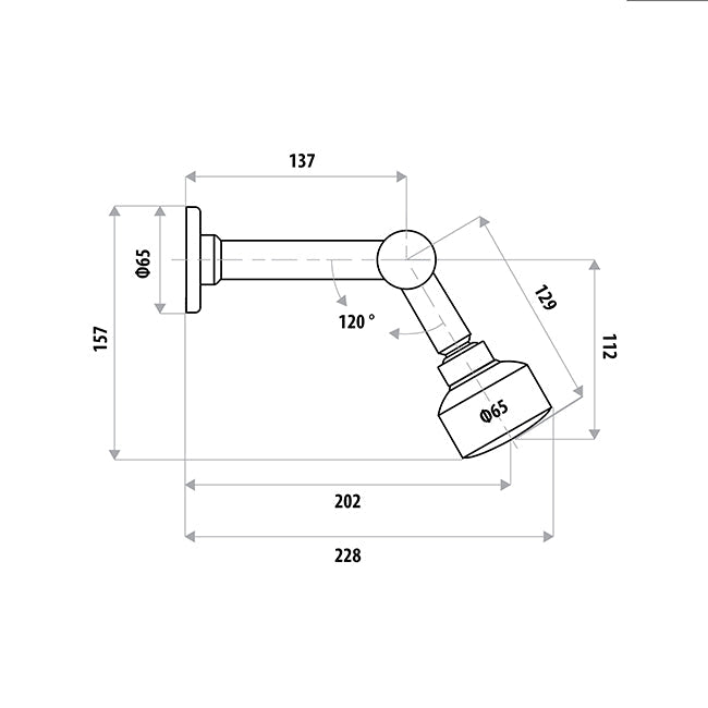 ELLE Shower Rose & Arm T876B (Special Order)