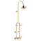 Fienza 455123UU Lillian Lever Exposed Rail Shower & Bath Set, Urban Brass