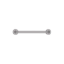 Fienza GRAB45 Stainless Steel Care Accessible 450mm Grab Rail - Special Order