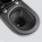 Fienza Koko Slim Seat Back-to-Wall Suite - Matte Black