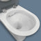 Fienza K013GP Delta Care Back to Wall Toilet Suite, P Trap 180mm, Grey Seat