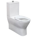 Fienza Delta Care Back-to-Wall Toilet Suite - Raised Buttons