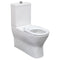 Fienza Delta Care Back-to-Wall Toilet Suite - Raised Buttons