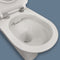 Fienza Delta Care Back-to-Wall Toilet Suite - Raised Buttons