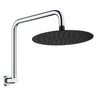 Fienza Kaya Gooseneck Shower Arm Set - Chrome