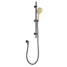 Fienza Kaya Rail Shower - Matte Black