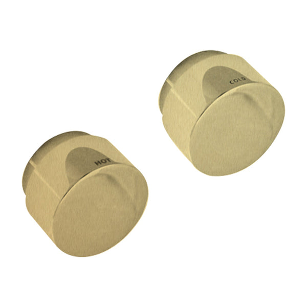 Loui Wall Top Assembly Brushed Gold P6153BG (Special Order)