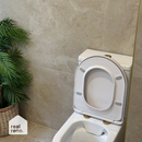 Caroma Urbane II Toilet Seat Hinge Brushed Brass 254213BB - Special Order