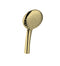 Loui Hand Shower only Brushed Gold T9087BG (Special Order)