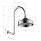 Fienza 411138BN-A Lillian Wall Arm Shower Set, Brushed Nickel - Special Order