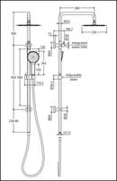 Fienza Kaya Brushed Nickel Twin Shower 455109Bn Showers