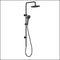 Fienza Kaya Matte Black Twin Shower 455109B Showers