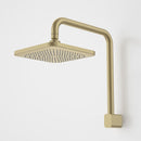 Caroma Luna Fixed Overhead Shower Brushed Brass 90391BB4E - Special Order